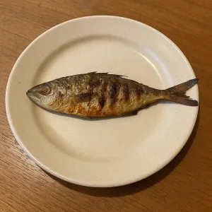 SMALL GRILLED FISH