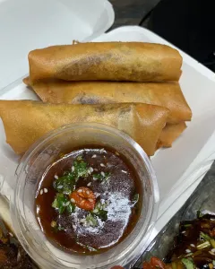 SPRING ROLLS